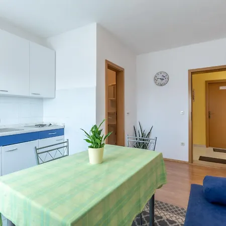 Mirjana تروغير